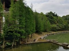 -广州市帽峰山景区