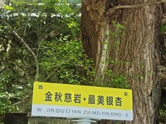 -大慈岩风景区