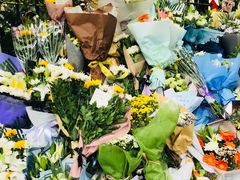 -上海市世外小学