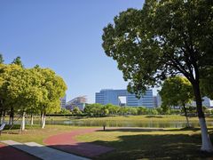 -春花秋色城市公园