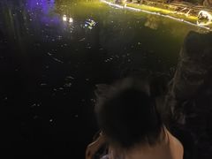 -西苑公园