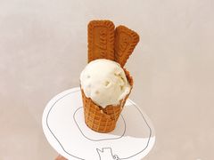 狂躁的榴莲-N2怪咖冰淇淋(金安店)