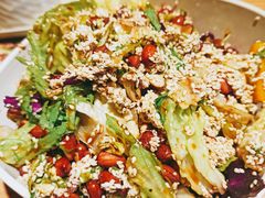 草原大拌菜-木屋烧烤(房山良乡店)