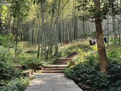 -西湖风景区十里琅珰-五云山