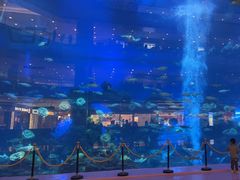 -成都浩海立方海洋公园