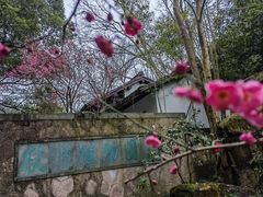 -杭州植物园