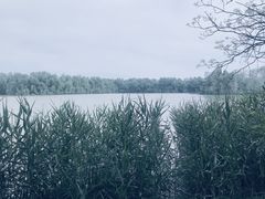 -大湾区中央湿地公园