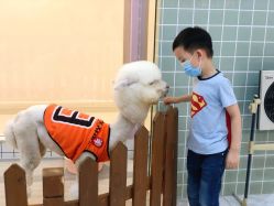 -Moni星球萌宠·小马宝莉·灵蛇·高端高阶全萌宠互动体验俱乐部(红豆国际广场店)