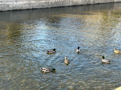 -元大都城垣遗址公园