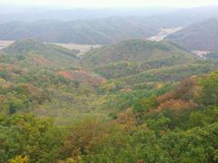 -天女山森林公园