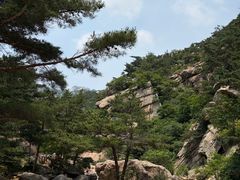 -无染寺