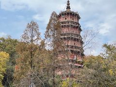 -宝通禅寺