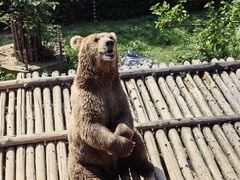 -济南野生动物世界