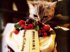 -派悦坊·甜品·蛋糕(日坛店)