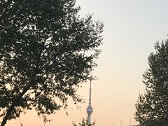 -曹祥泰(解放路店)