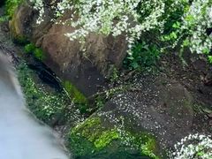 -中国茶叶博物馆(双峰馆区)