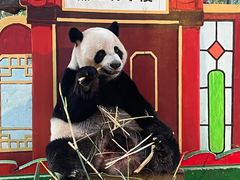 -广州长隆欢乐世界