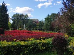 -吉林大学(前卫南区)