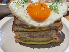 -O'eat Blossom&Pelican(深圳首店)