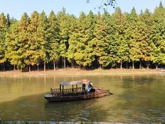 -溱湖国家湿地公园