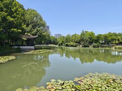 -巡塘古镇