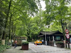 -杭州植物园