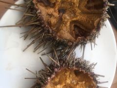 -海胆小馆(东北水饺·春柳店)