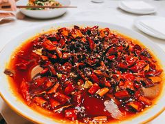 毛血旺-初蓉丨遇见新川菜(亲贤街荣耀店)