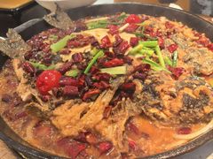 -老板恋上鱼(印象城店)