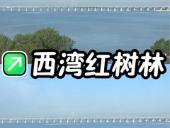-宝安西湾红树林湿地公园