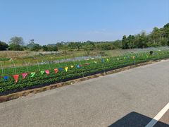 -南宁花花大世界景区