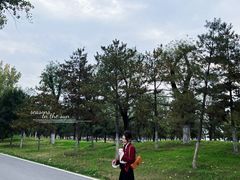 -汉长安城未央宫国家考古遗址公园