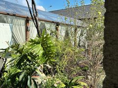 -Jo's Garden