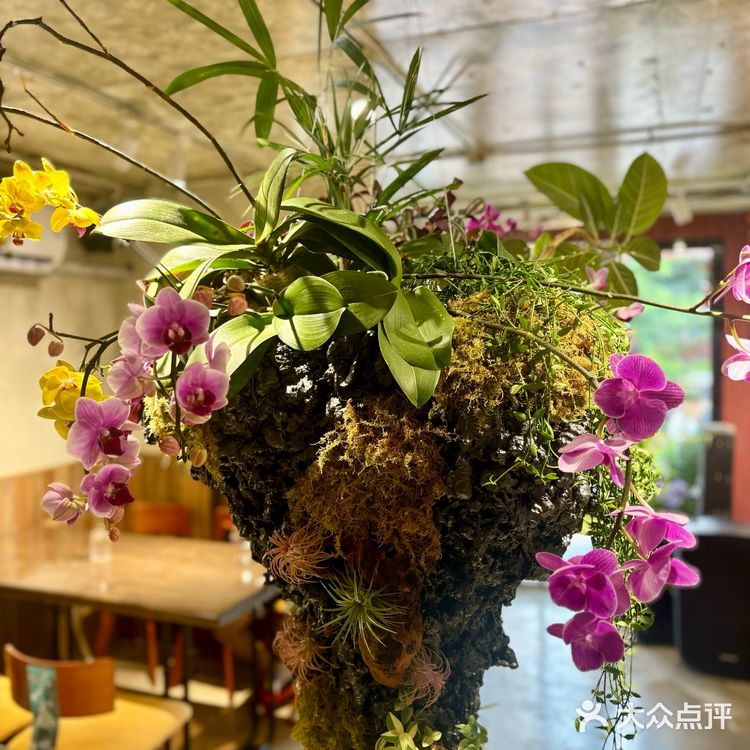 夏天吃虾，正是时候，这家满黄小龙虾也太会了吧