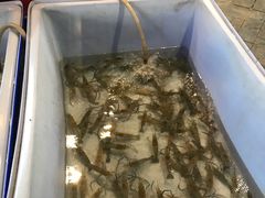 -芭提雅Amporn Seafood自助餐厅