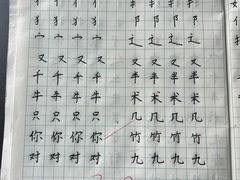 -赵汝飞练字硬笔书法(航头校区)