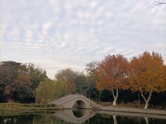 -泰州凤城河风景区-泰山公园