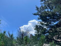 -崂山仰口游览区
