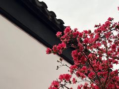 -苏州上方山国家森林公园