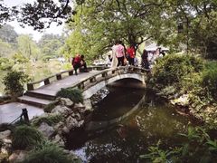 -西湖外事游船(花港观鱼码头)