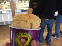 -Dooley's Premium Ice Cream