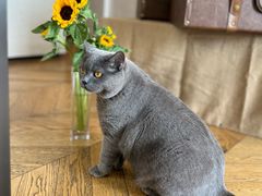 -Me Coffee下午茶艺术空间