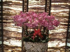 -广州塔晖粤轩中餐厅