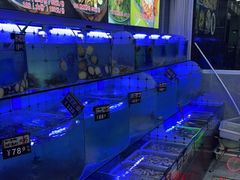 水产区-日照大牌檔•小船海鲜(万平口店)