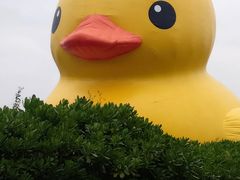 -深圳湾公园(南山区)