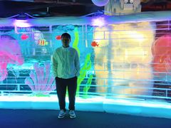 -海合安武汉极地海洋公园