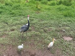 -普洱太阳河森林公园