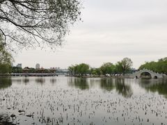 -长春市南湖公园