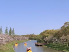 -上海海湾国家森林公园