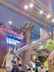 -卡通尼·Safari非洲探索乐园·生日会(金桥国际商业广场店)